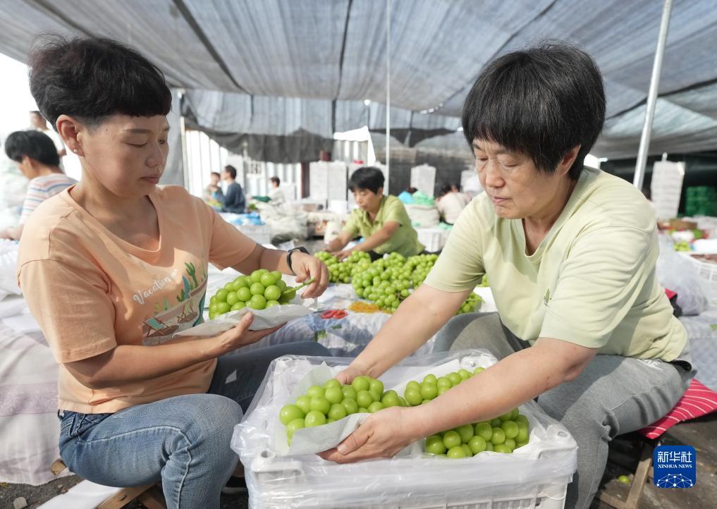 澳门新永利113